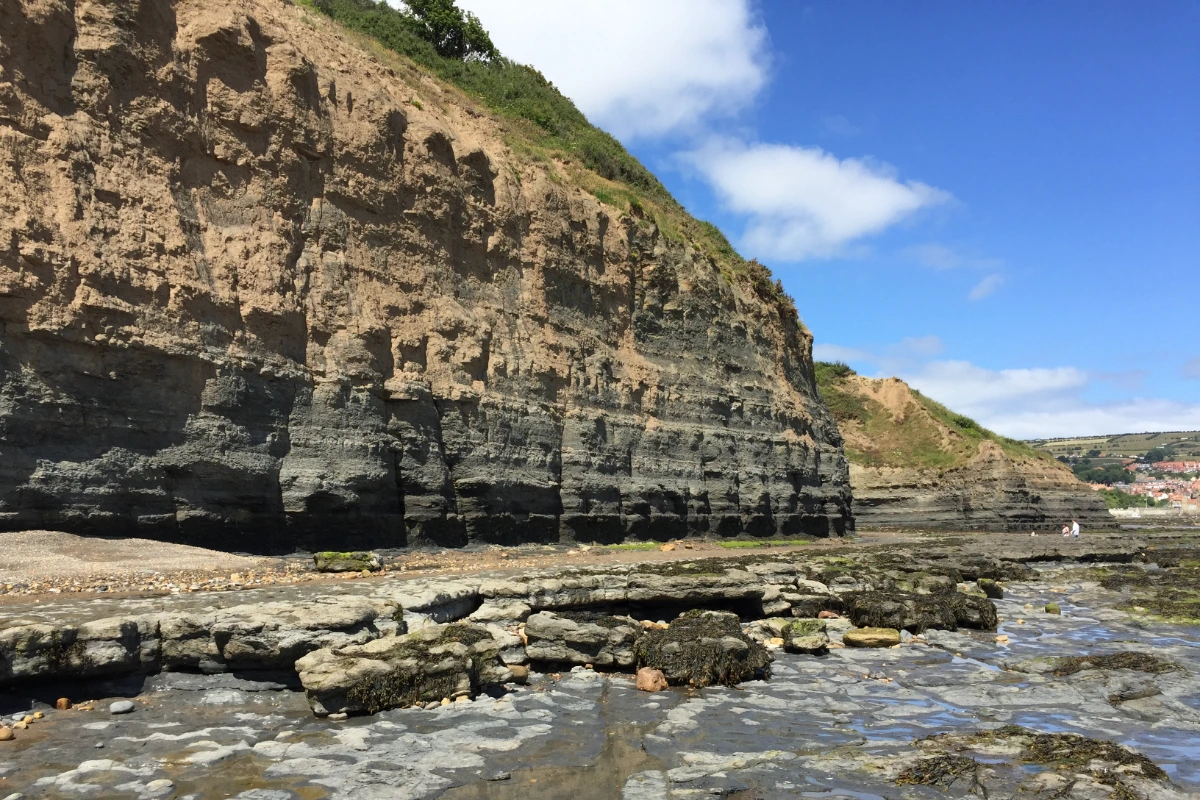 Layered coastal cliffs and a rocky shore platform at low tide